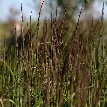 Ferienwohnungen Im Fischerdorf Und Neu Reddevitz Bagian luar foto